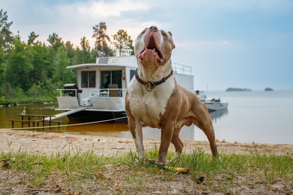 Monster Maker Kennels | 6411 Ablington Ct, Camby, IN 46113, USA | Phone: (317) 682-7957