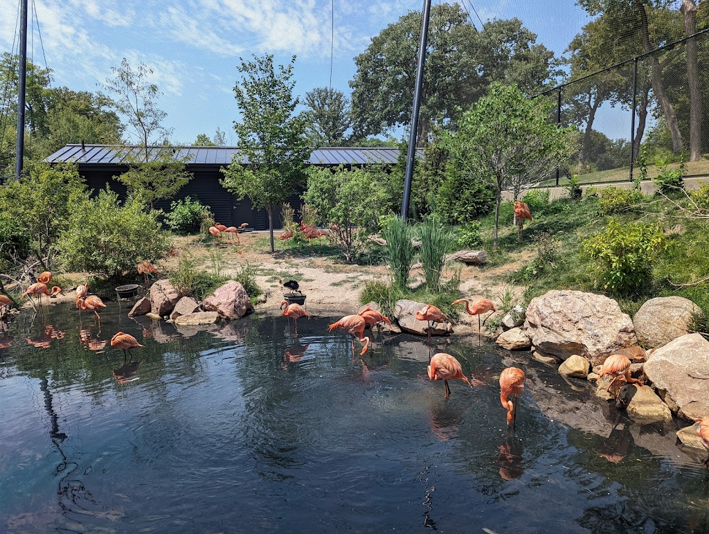 Simmons Aviary | 3701 S 10th St, Omaha, NE 68107, USA | Phone: (402) 733-8401