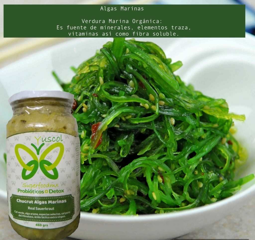 Yuscol Mx | Aguascalientes #72, Ejido Ruiz Cortines, 22810 Ensenada, B.C., Mexico | Phone: 664 123 3077