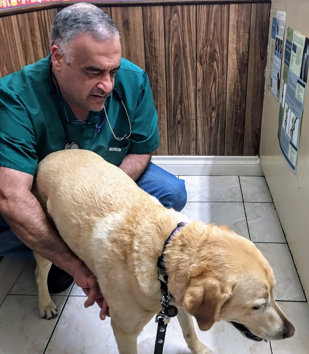 Orange-Tustin Animal Hospital | 981 N Tustin St, Orange, CA 92867, USA | Phone: (714) 532-6588