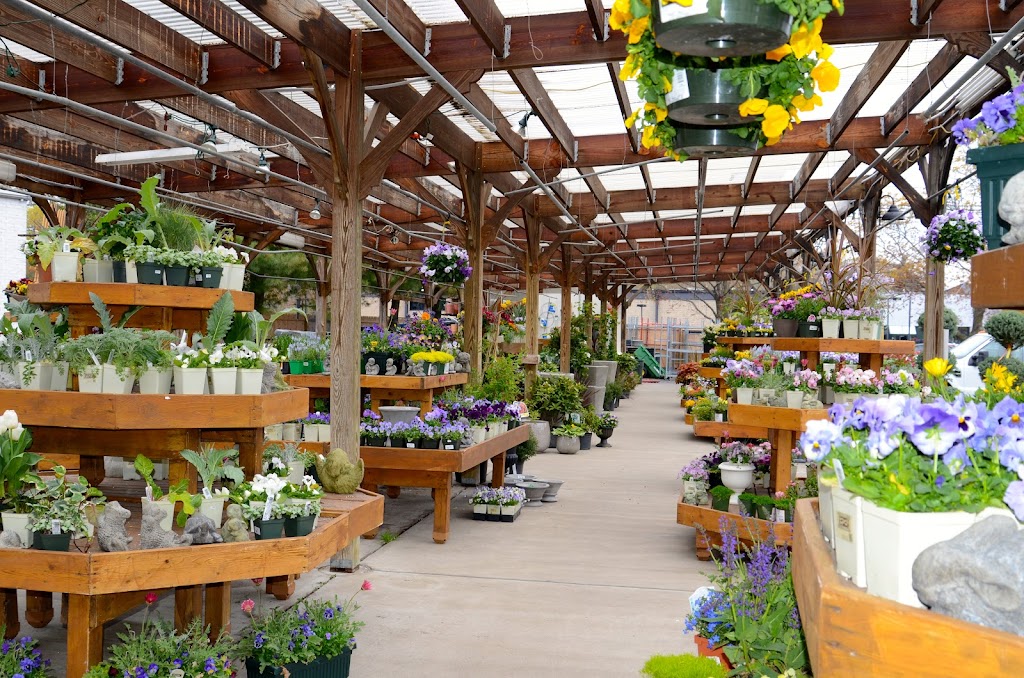 Nielsens Florist & Garden Shop | 1405 Post Rd, Darien, CT 06820, USA | Phone: (203) 655-2541