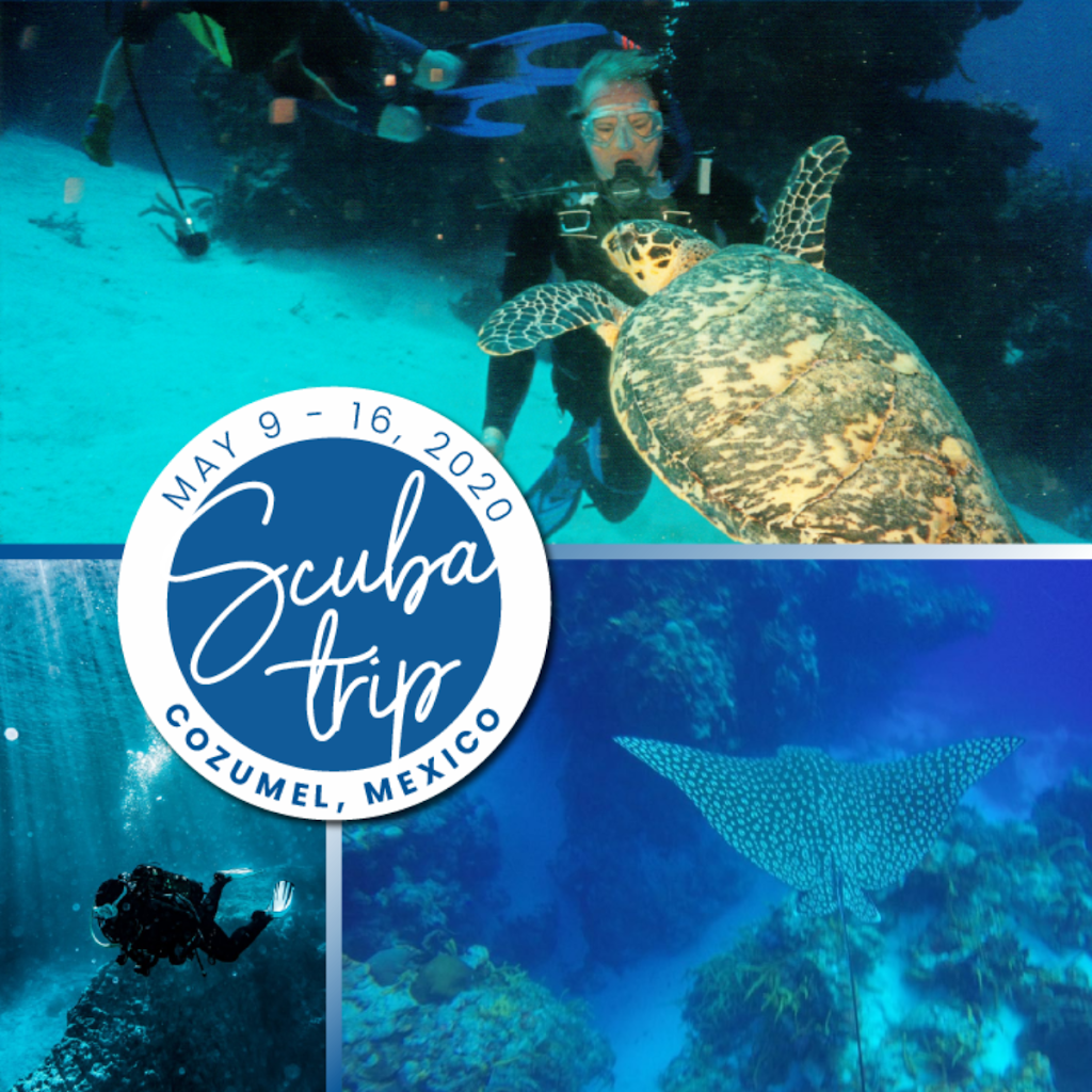 By The Shore SCUBA Instruction LLC - Sunday