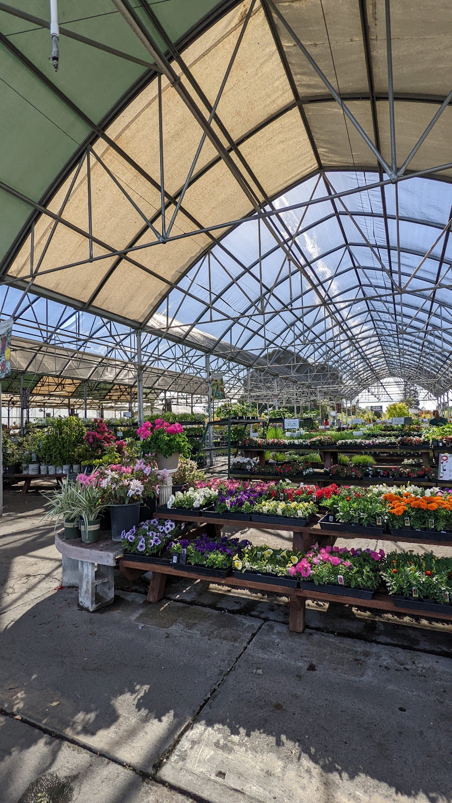 Mid City Nursery | 3635 Broadway, American Canyon, CA 94503, USA | Phone: (707) 642-4167