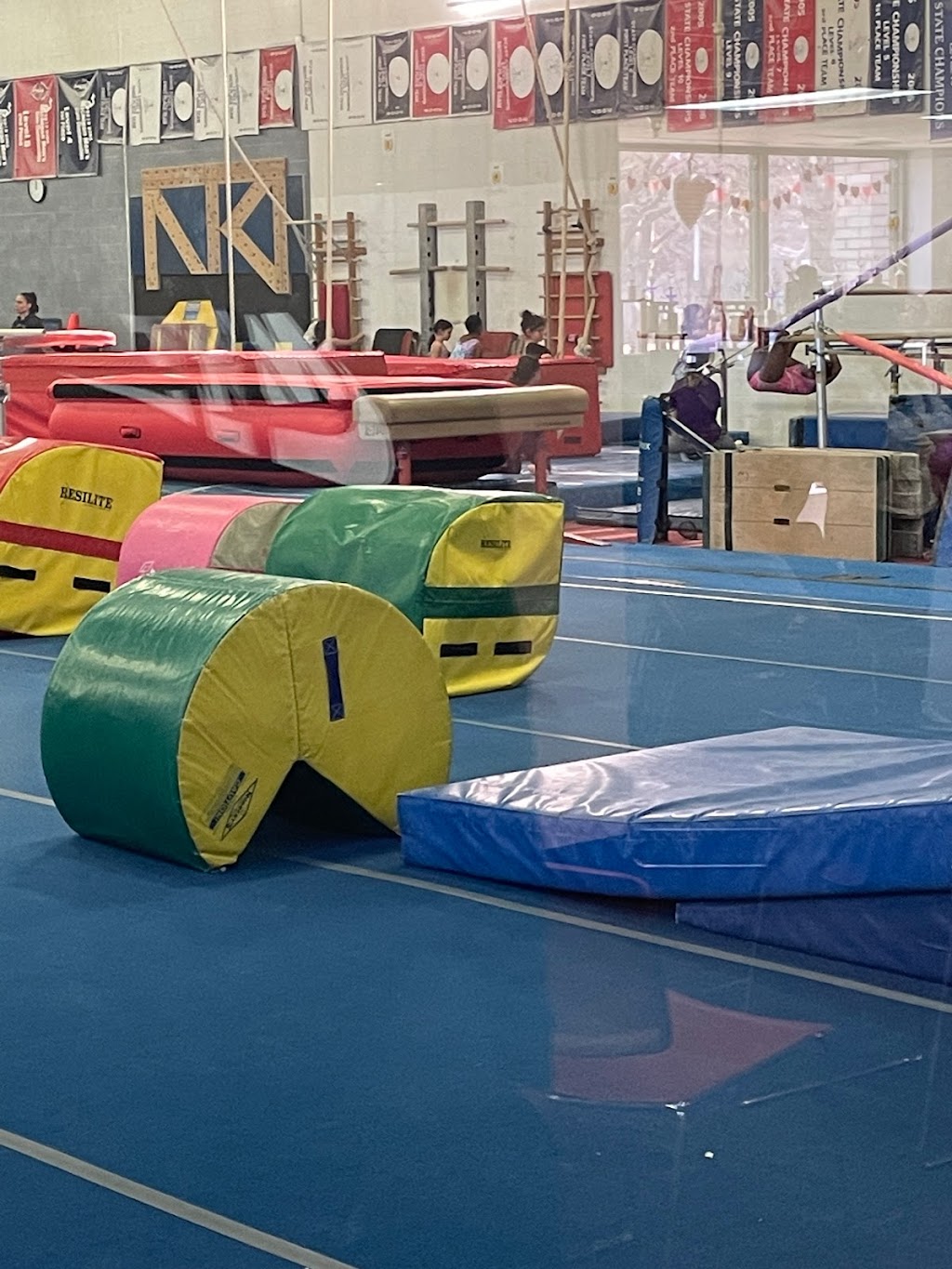 Michigan Academy of Gymnastics | 240 Metty Dr, Ann Arbor, MI 48103, USA | Phone: (734) 761-7610