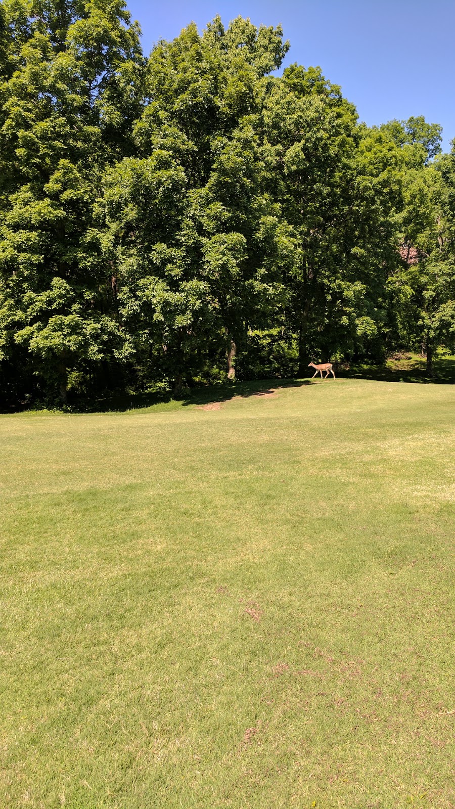 Country Hills Golf Club | 1501 Saundersville Rd, Hendersonville, TN 37075 | Phone: (615) 824-1100