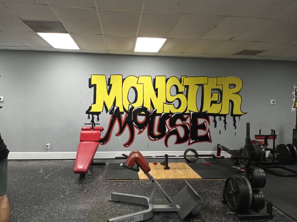 Monster Mouse Fitness | 10416 US-19, Port Richey, FL 34668 | Phone: (727) 378-4175