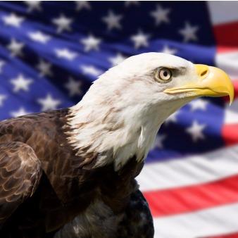 STS Movers | 1340 Reynolds Ave #116, Irvine, CA 92614, USA | Phone: (714) 791-5547