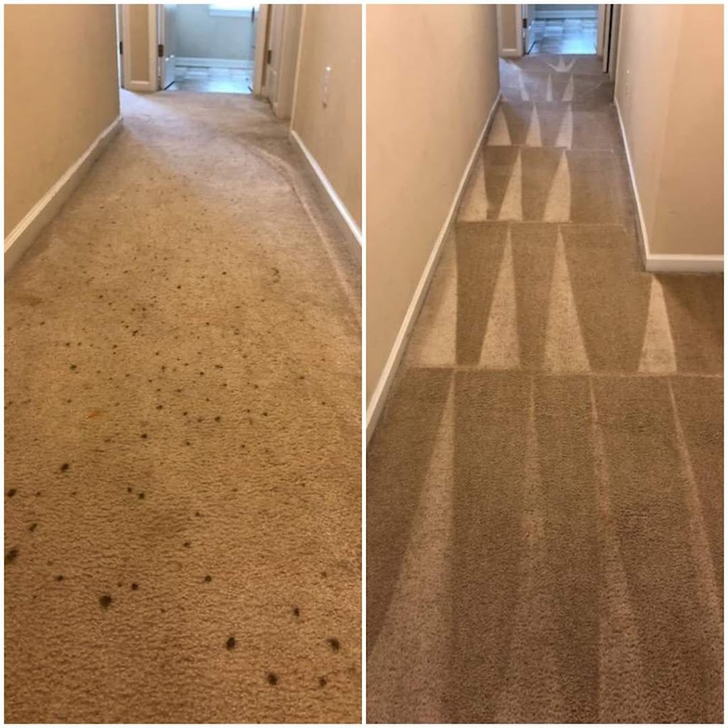 All Aces Carpet Cleaning | 309 Capeside Ave, Holly Springs, NC 27540, USA | Phone: (919) 244-1725