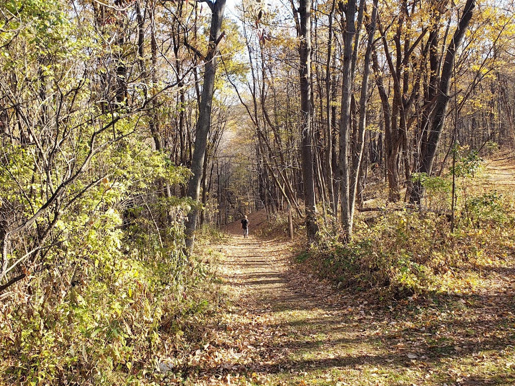 Blue Mound State Park | 4350 Mounds Park Rd, Blue Mounds, WI 53517, USA | Phone: (608) 437-5711