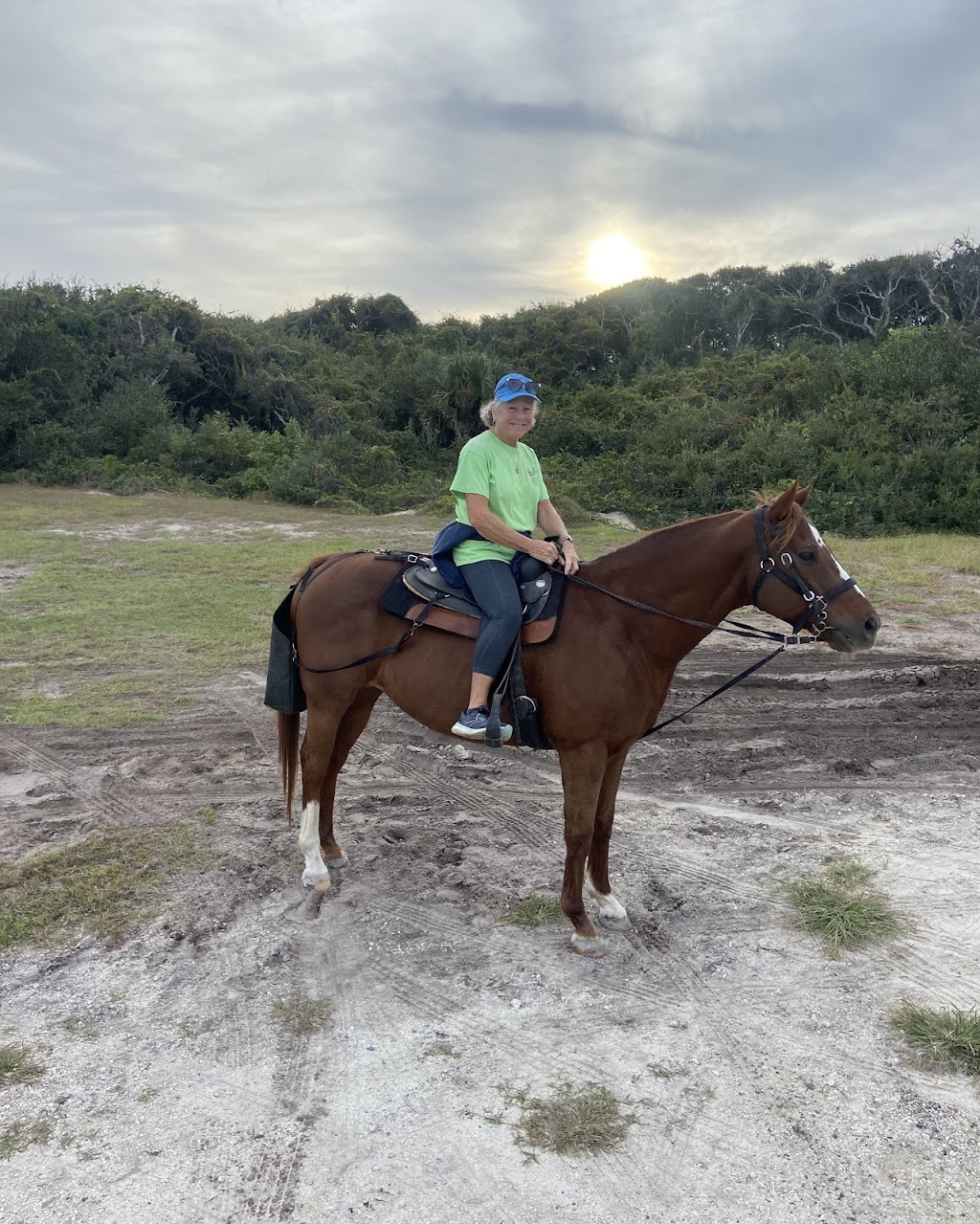 Amelia Island Horseback Riding | 4600 Peters Point Rd, Fernandina Beach, FL 32034, USA | Phone: (904) 753-1701