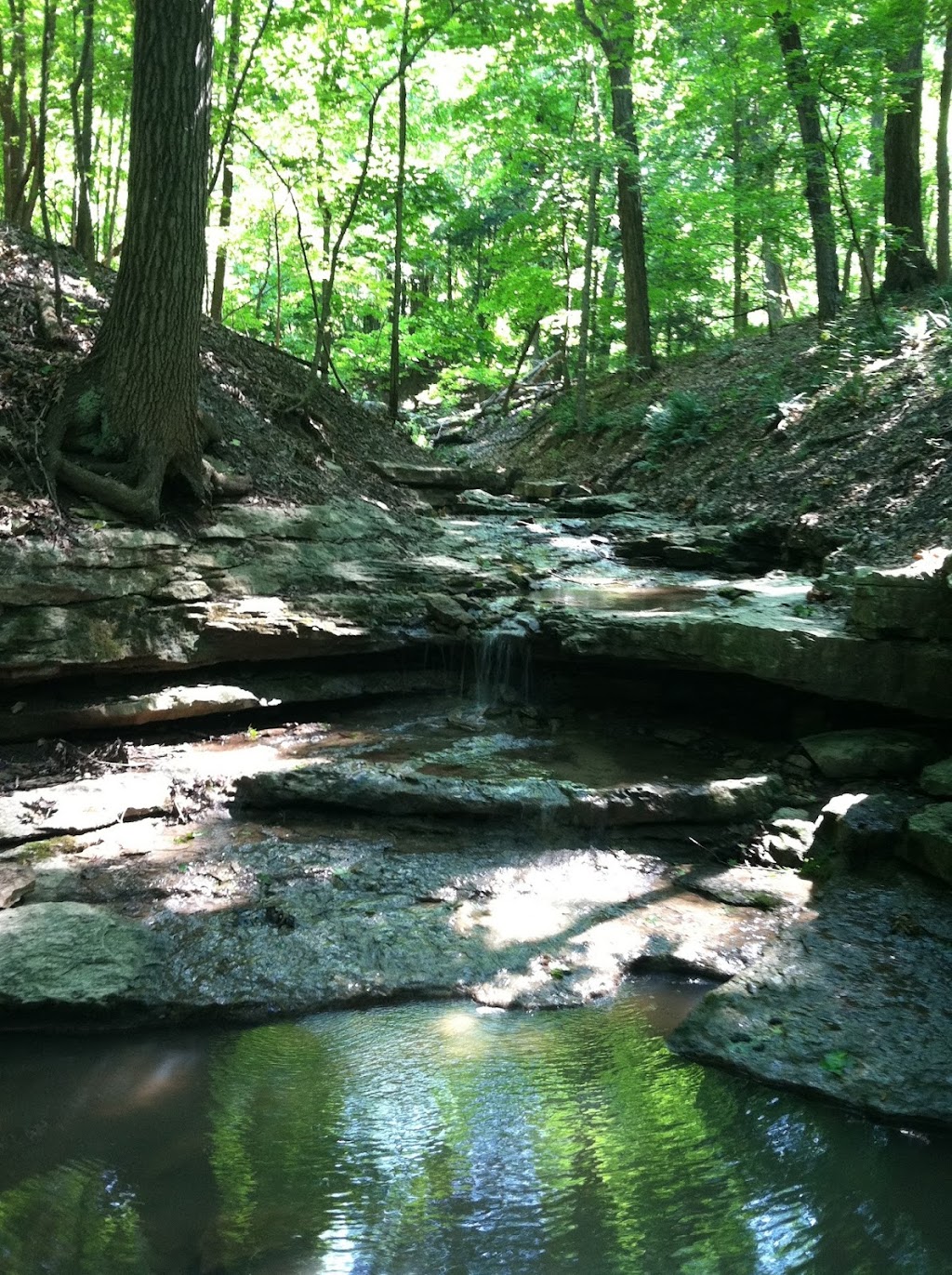 The Nature Institute | 2213 S Levis Ln, Godfrey, IL 62035, USA | Phone: (618) 466-9930