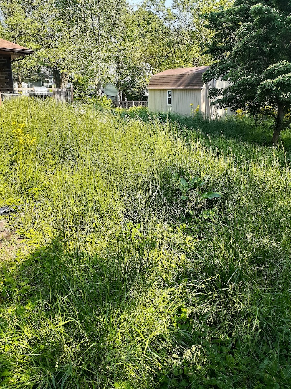 Johnnys Lawncare Services LLC | 389 Longview Bend, Brownsburg, IN 46112, USA | Phone: (937) 272-3367