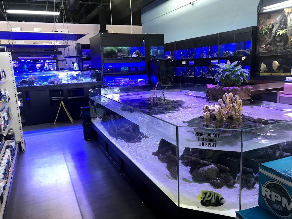 Aquariums Unlimited LLC | 797 B Chimney Hill Shopping Ctr, Virginia Beach, VA 23452, USA | Phone: (757) 280-5781