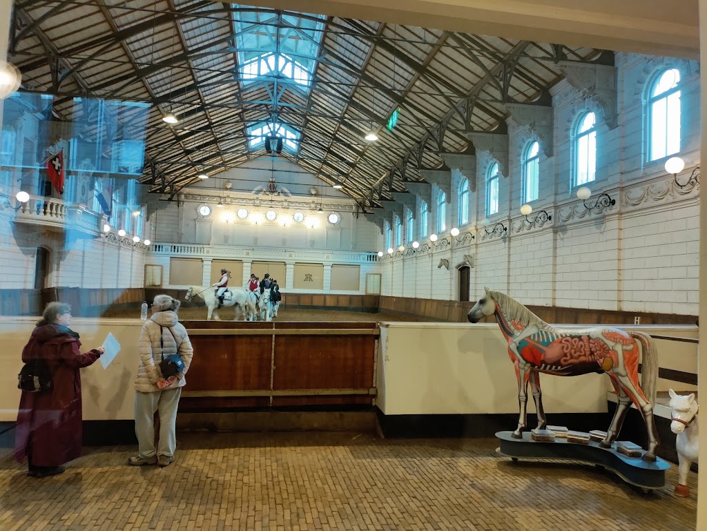 Levend Paardenmuseum | Vondelstraat 140, 1054 GT Amsterdam, Netherlands | Phone: 020 618 0942