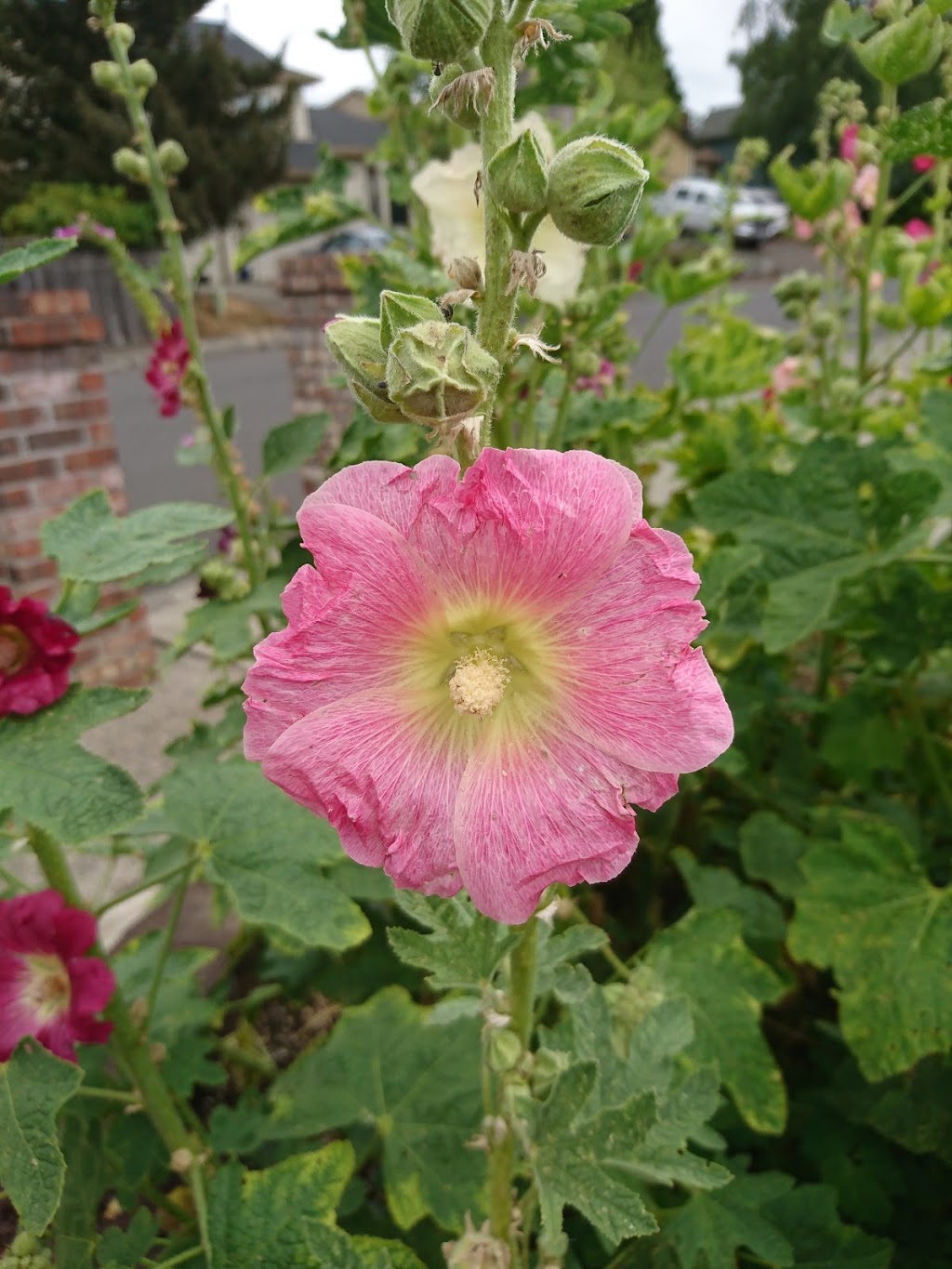 Burntwood Park | SW 158th Pl, SW 160th Ave, Beaverton, OR 97007, USA | Phone: (503) 645-3539