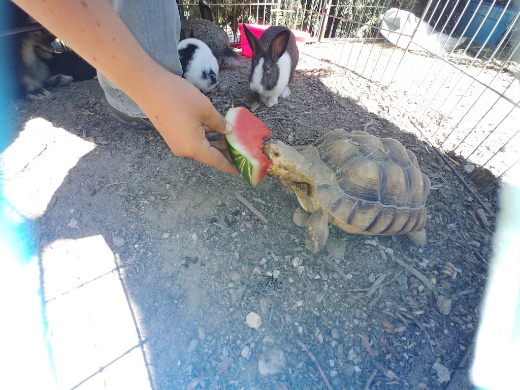 Alice | 1623 N Hall St STE 103, Dallas, TX 75204, USA | Phone: (469) 872-0001