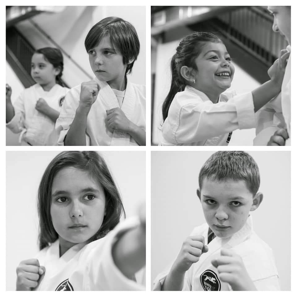 White Tiger Dojo | 99 Industrial Rd, Berkeley Heights, NJ 07922, USA | Phone: (908) 665-8983