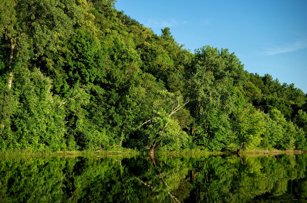 St. Croix Islands State Wildlife Area | Somerset, WI 54025, USA | Phone: (888) 936-7463