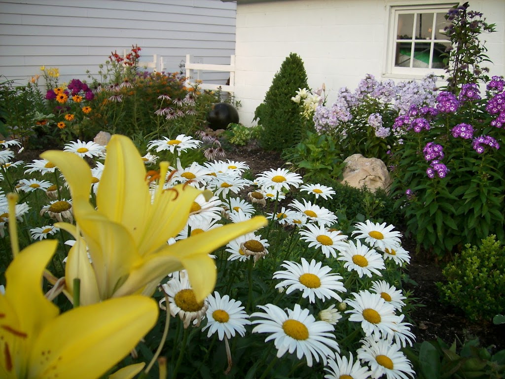 Gardening Adventures - Perennials - Madison Area | 161 Paoli St, Verona, WI 53593, USA | Phone: (608) 513-9034