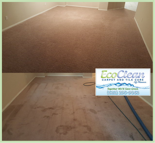 eco clean carept and tile care of phoenix | 16772 W Bell Rd Ste 110-148, Surprise, AZ 85374, USA | Phone: (623) 295-9063