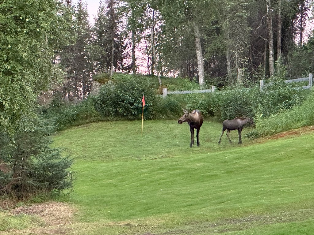 Shulin Lake Resort | N Shulin Lake, Trapper Creek, AK 99683, USA | Phone: (605) 951-3003