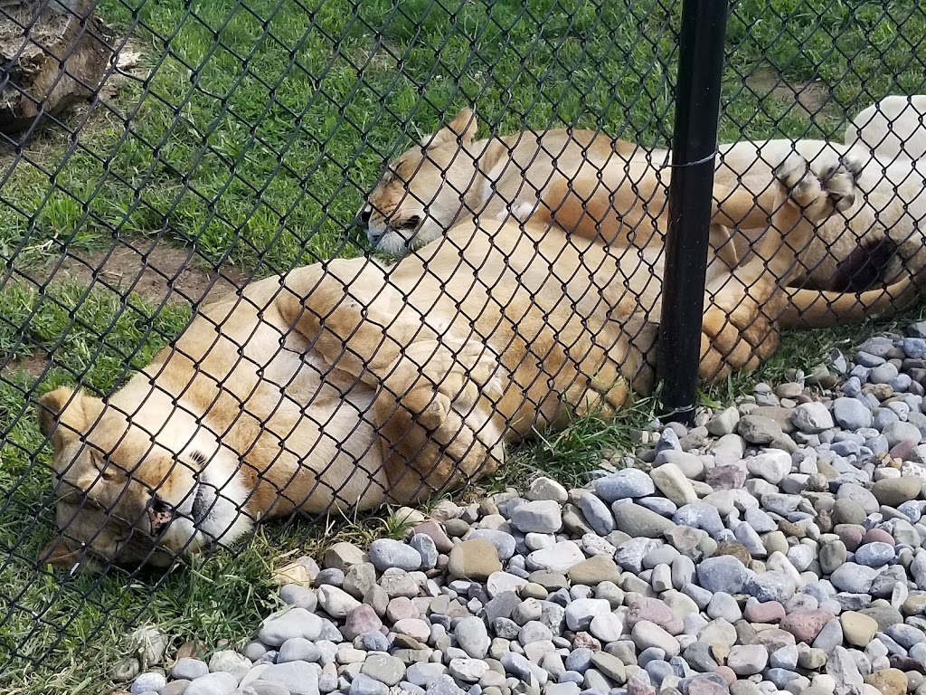 The Wild Animal Park | 7621 Lakeport Rd, Chittenango, NY 13037, USA | Phone: (315) 510-3347