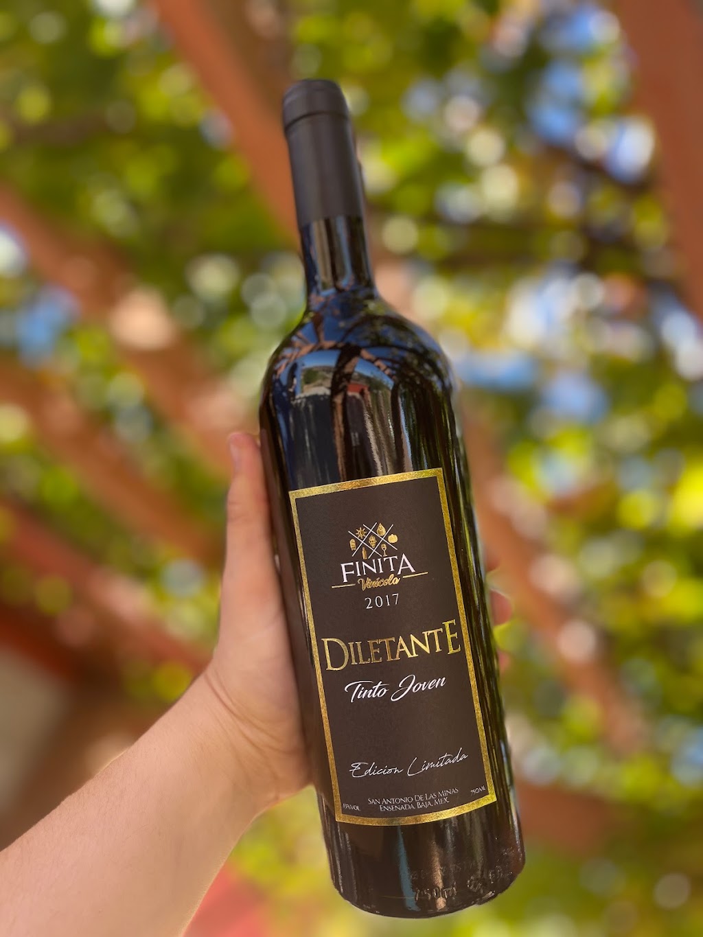 VINOS FINITA | 22766 Villa de Juárez, Baja California, Mexico | Phone: 646 117 1130