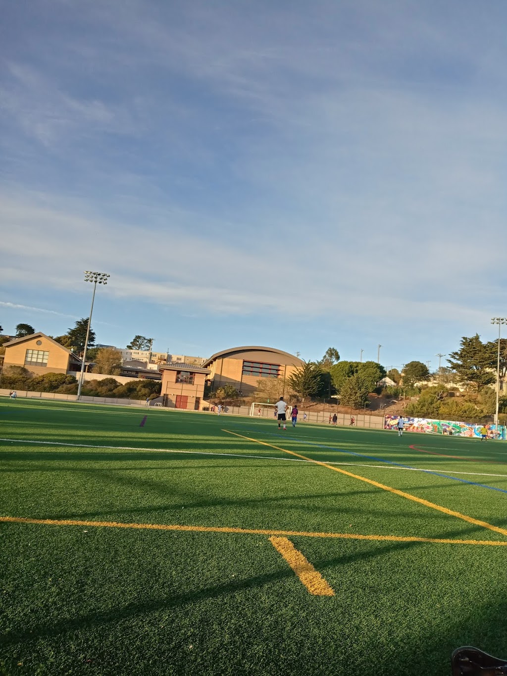 Minnie & Lovie Ward Recreational Center | 650 Capitol Ave, San Francisco, CA 94112, USA | Phone: (415) 337-4710