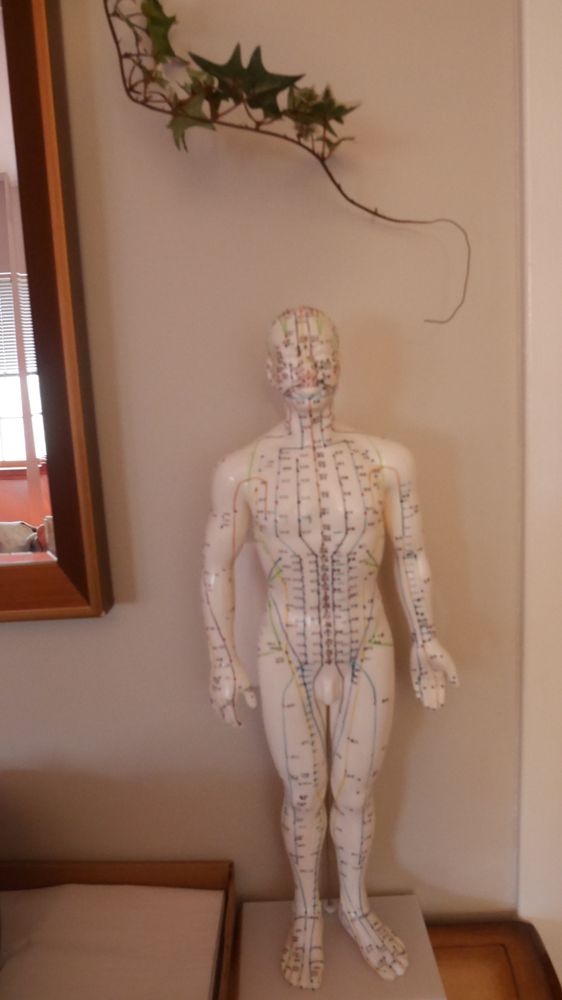 Westchester Health Acupuncture | in Somers, NY | 332 NY-100, Somers, NY 10589, USA | Phone: (914) 341-2862