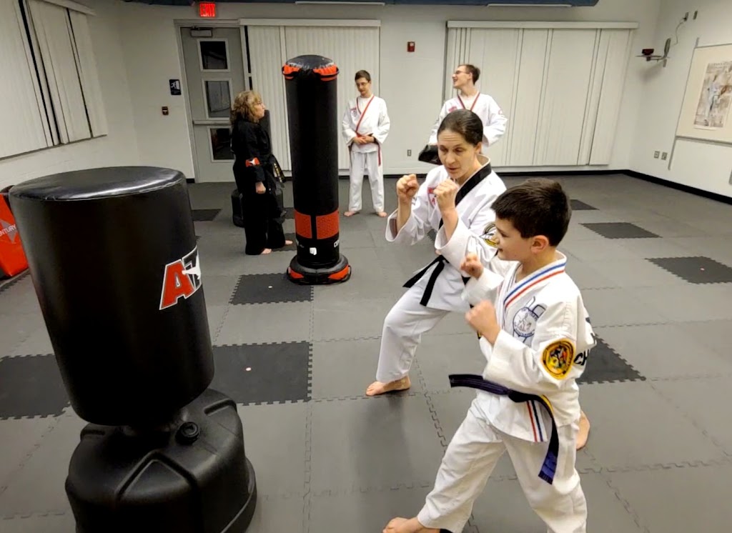 Pro ATA Martial Arts, LLC | 52265 Van Dyke Ave, Shelby Township, MI 48316, USA | Phone: (248) 963-1575