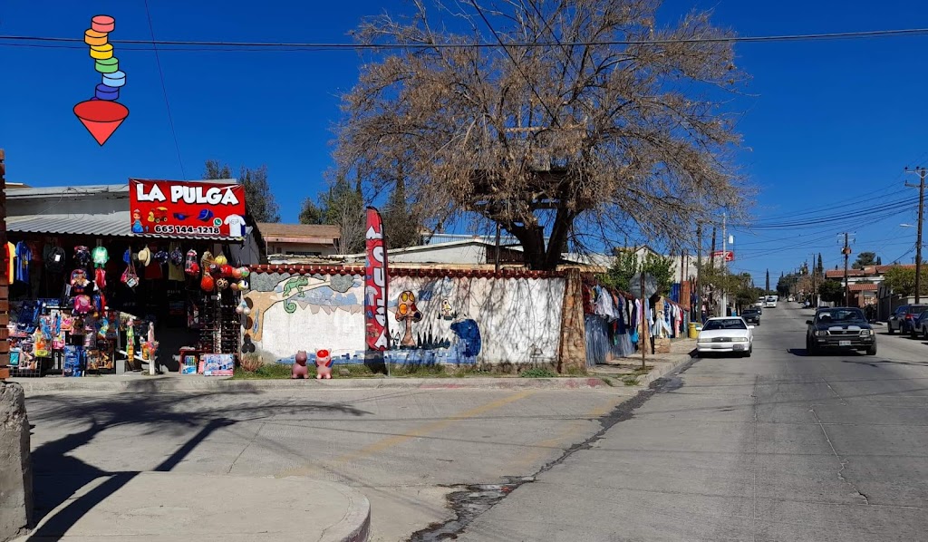 La PULGA | Treceava 263, Benito Juárez, 21480 Tecate, B.C., Mexico | Phone: 665 144 1218