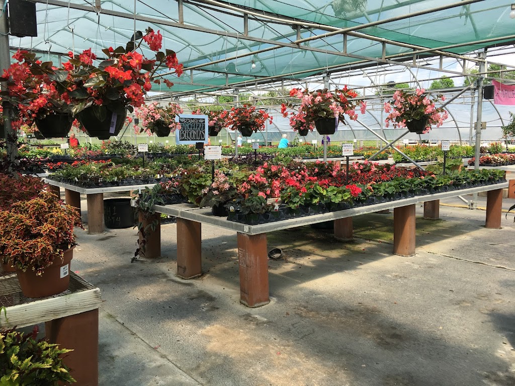 Bakers Acres Greenhouse | 3388 Castle Rd, Alexandria, OH 43001 | Phone: (740) 924-6525