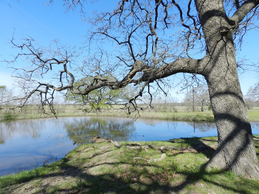 Poetry Shooting Club | 20495 TX-34, Terrell, TX 75161, USA | Phone: (214) 728-2755