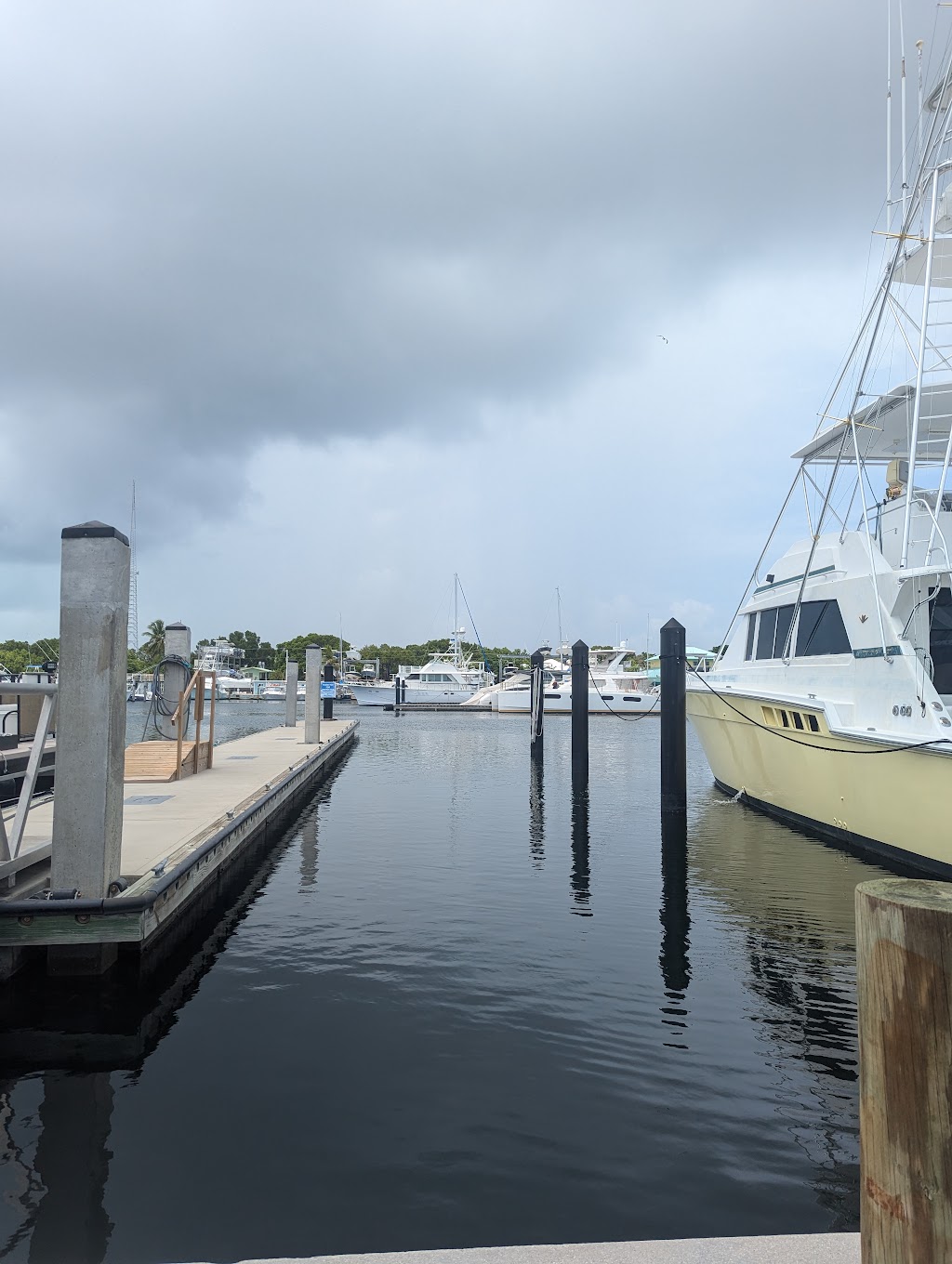 Key Largo Fisheries Backyard Cafe | 1313 Ocean Bay Dr Suite A, Key Largo, FL 33037, USA | Phone: (305) 451-3784