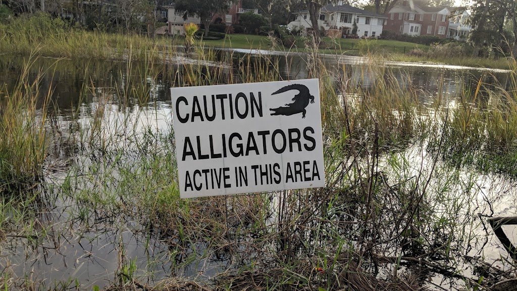 River Oaks Park | 1000 River Oaks Rd, Jacksonville, FL 32207, USA | Phone: (904) 630-2489