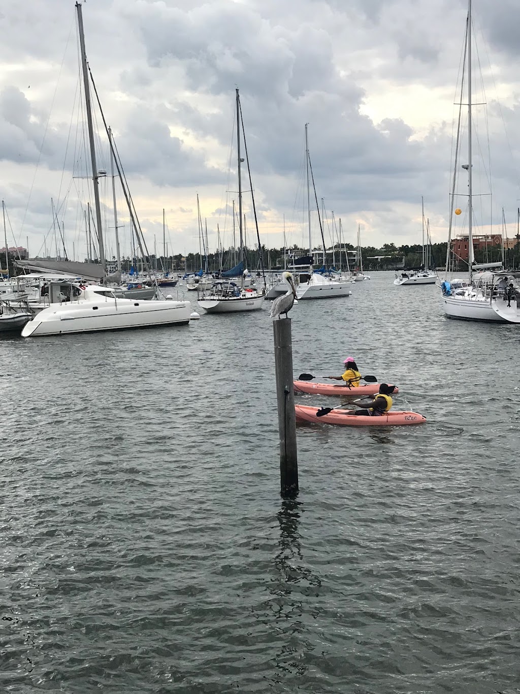 Flyboard 305 | 3400 Pan American Drive Pier 4 Slip 23, Miami, FL 33133, USA | Phone: (786) 713-1103