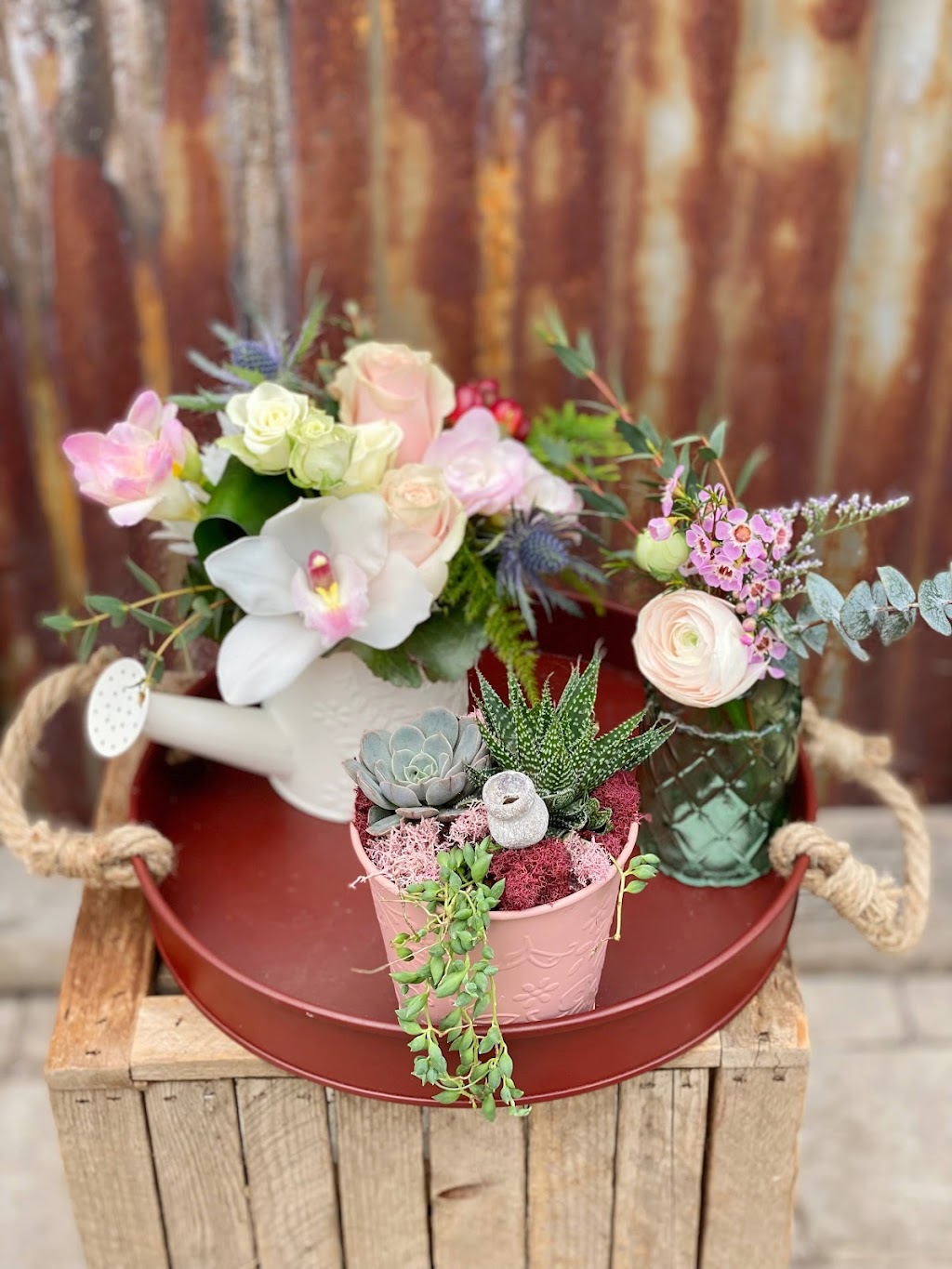 The Watering Can Flower Market | 3711 King St, Vineland, ON L0R 2C0, Canada | Phone: (905) 562-0088