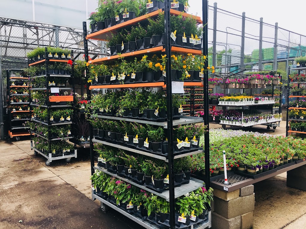 Lowes Garden Center | 430 S Germantown Pkwy, Cordova, TN 38018, USA | Phone: (901) 309-2379
