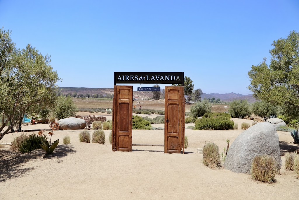 Aires de Lavanda | Carretera El Tigre Km 3.5, San Antonio de las Minas, 22320 Ensenada, B.C., Mexico | Phone: 646 117 0453