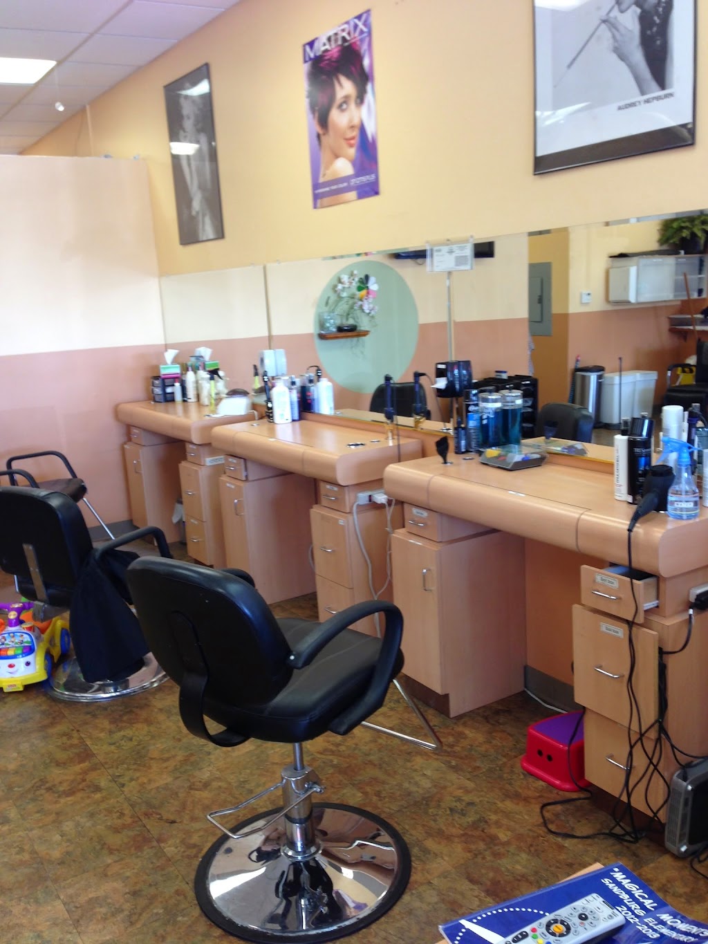 Elegant Hair and Nails Salon | 11233 Camino Ruiz, San Diego, CA 92126, USA | Phone: (858) 566-4309