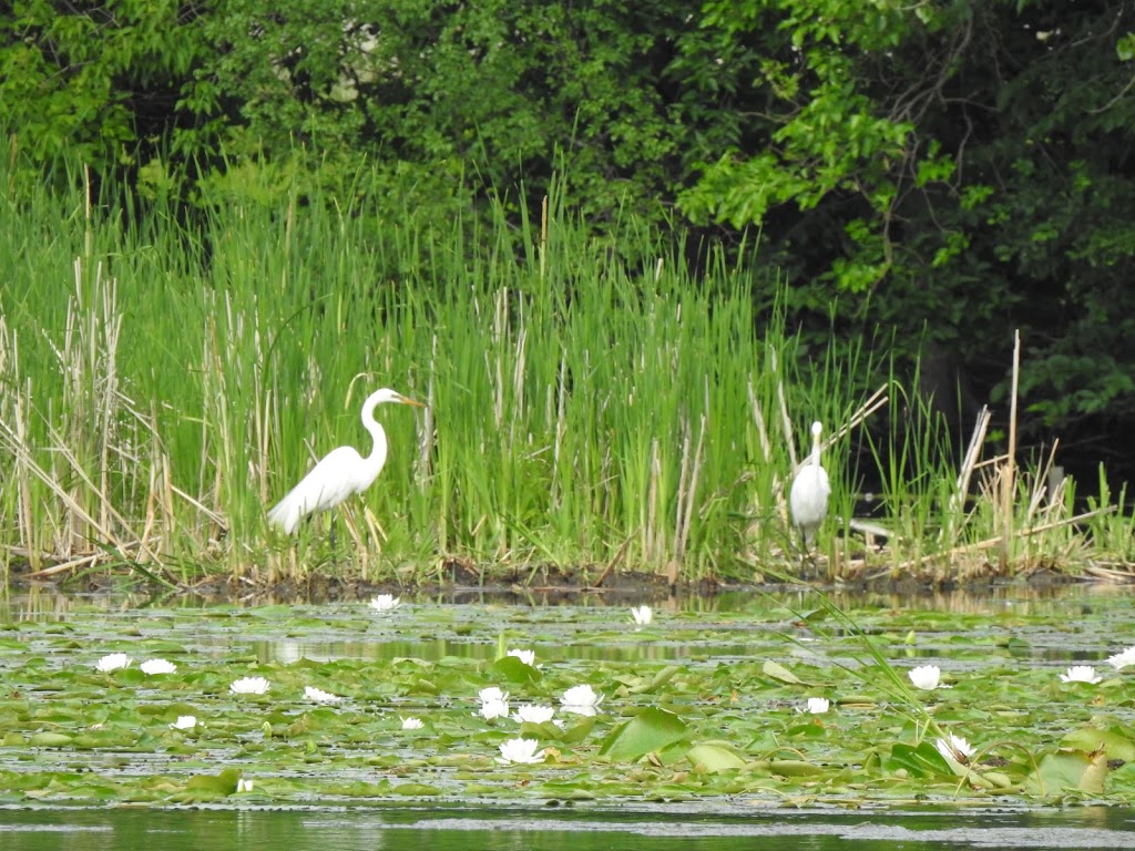 Richfield Lake Park | 6400 Dupont Ave S, Richfield, MN 55423 | Phone: (612) 861-9395