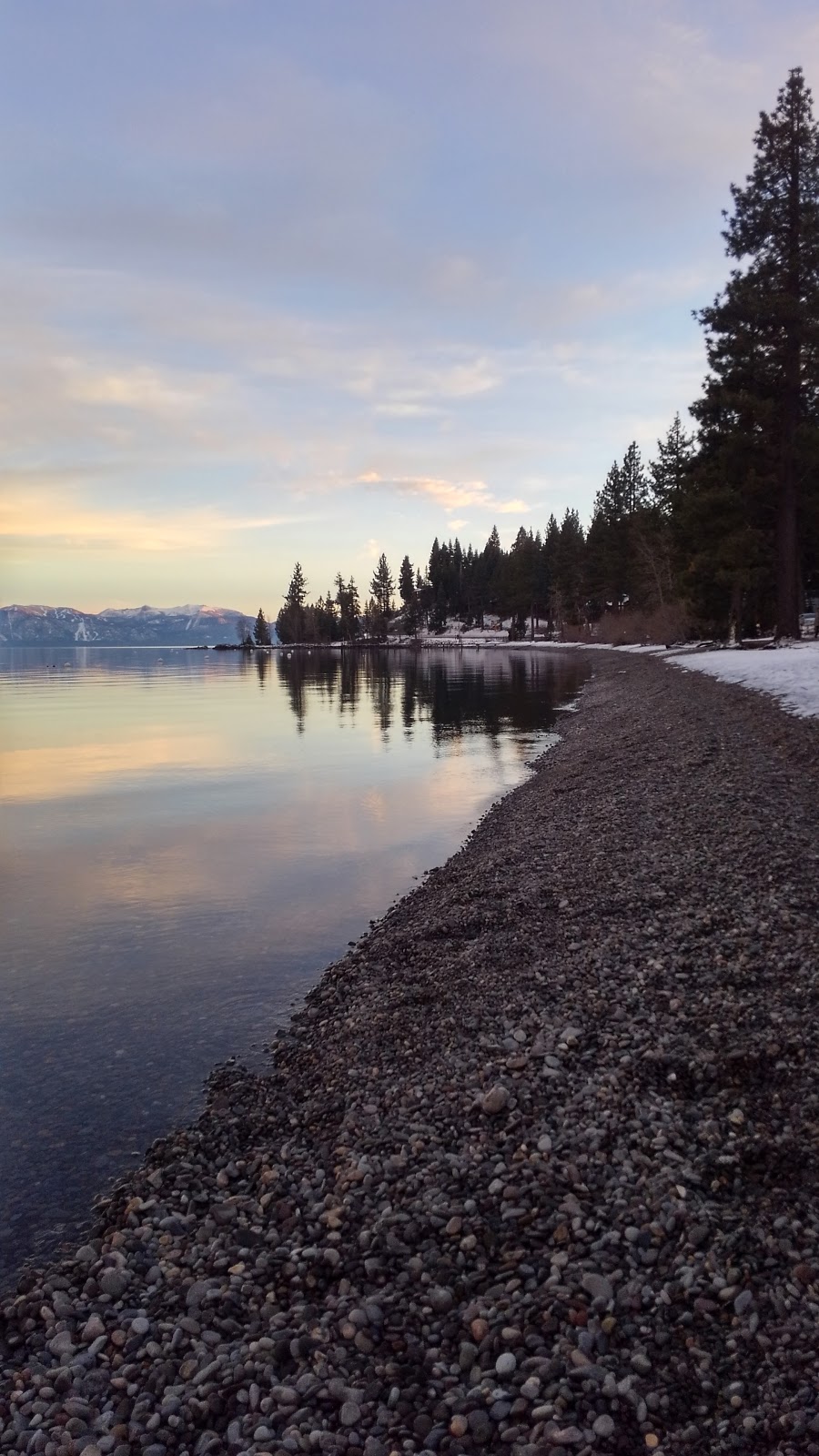 Alpine Meadows Realty | 2411 W Lake Blvd, Tahoe City, CA 96145, USA | Phone: (530) 583-3550