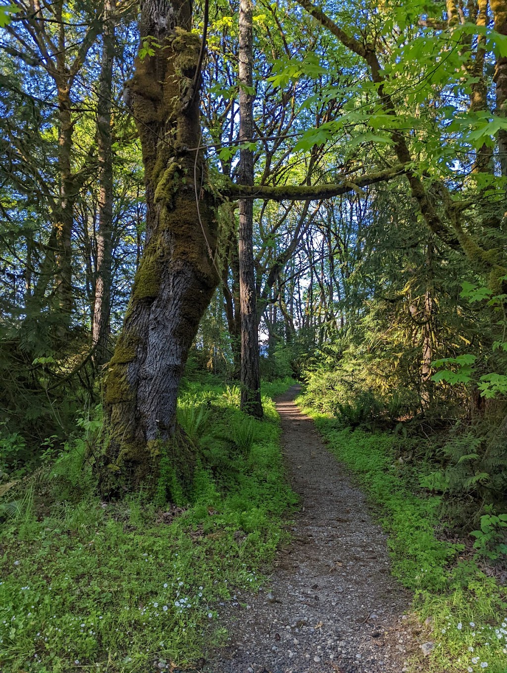 Penrose Point State Park | 321 158th Ave SW, Lakebay, WA 98349, USA | Phone: (253) 884-2514