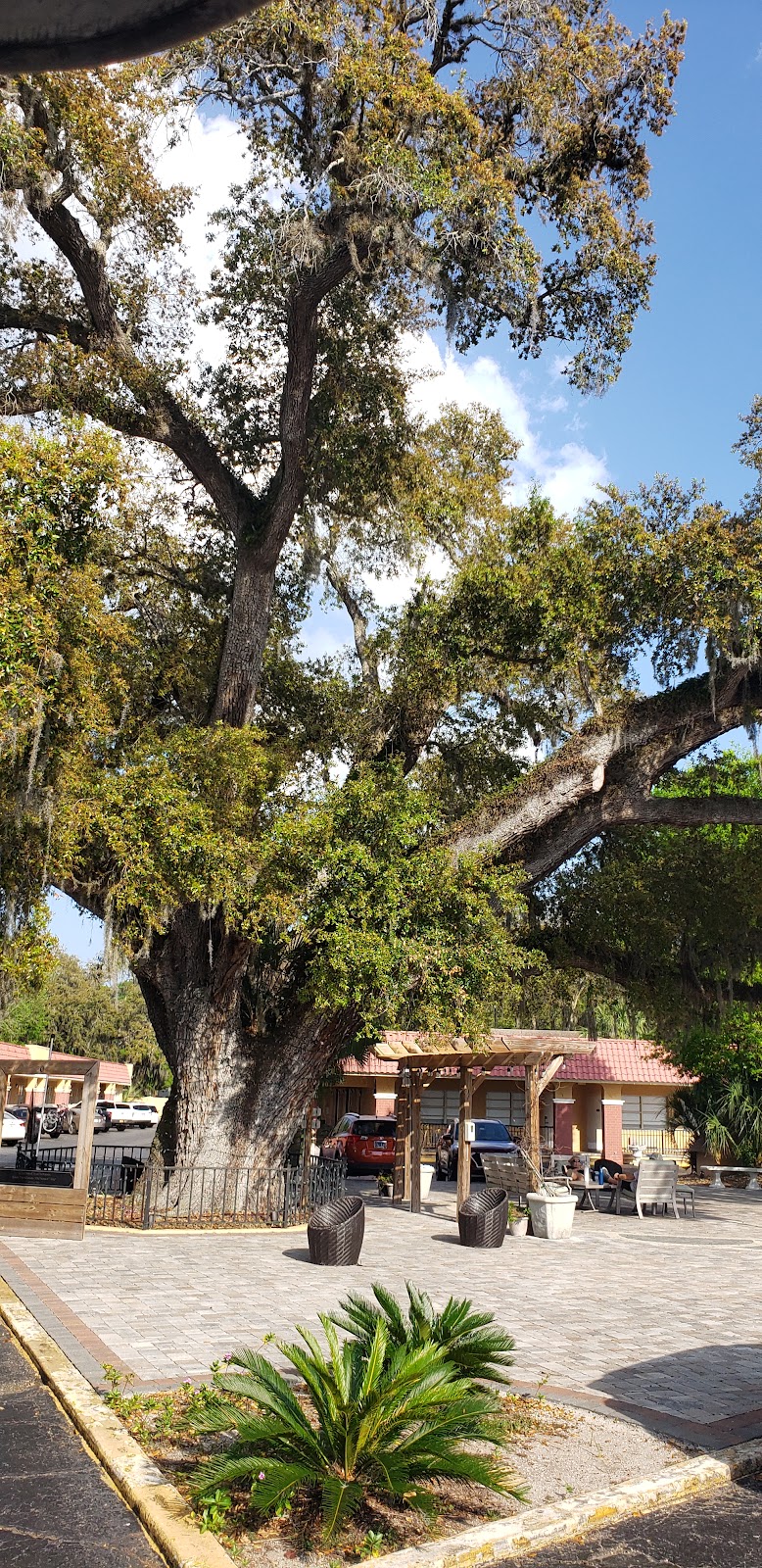 Old Town Trolley Welcome Center US-1 | 1305 N Ponce De Leon Blvd, St. Augustine, FL 32084, USA | Phone: (844) 388-6452