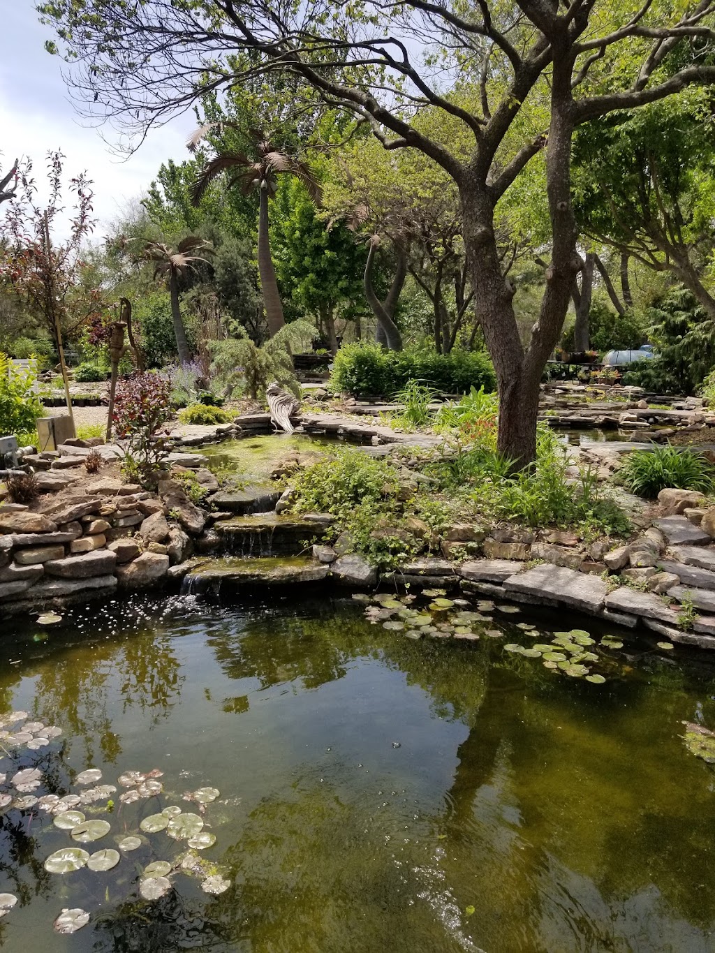 Scenic Landscapes, Water Garden Nursery & Garden Center | 5911 W Maple St, Wichita, KS 67209, USA | Phone: (316) 942-4861