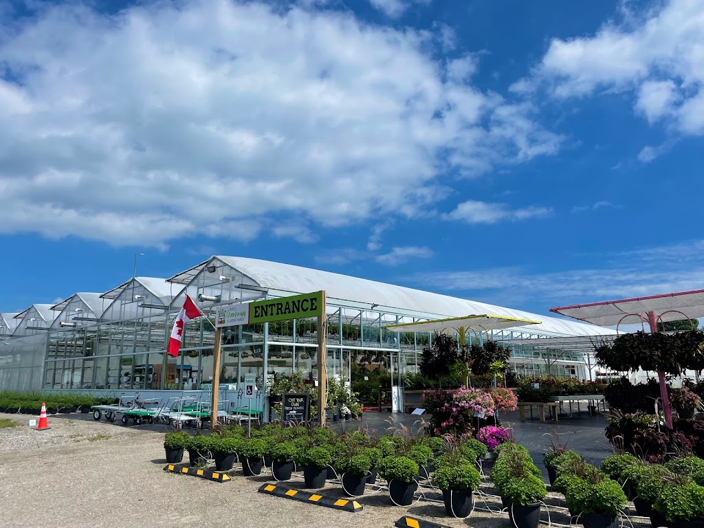 Maple Greenhouses & Garden Market | 1028 Hutchinson Rd, Lowbanks, ON N0A 1K0, Canada | Phone: (905) 774-7391