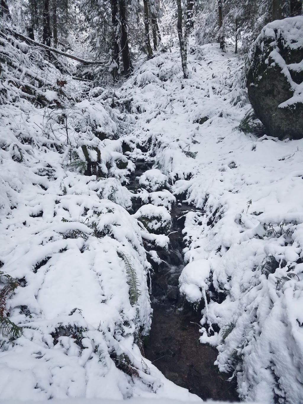 Wilderness Peak | Wilderness Peak Trail, Renton, WA 98059, USA | Phone: (206) 477-4527