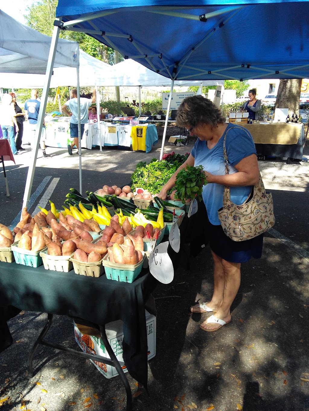 Lady Lake Farmers Market | 260 Rolling Acres Rd, Lady Lake, FL 32159, USA | Phone: (352) 537-4197