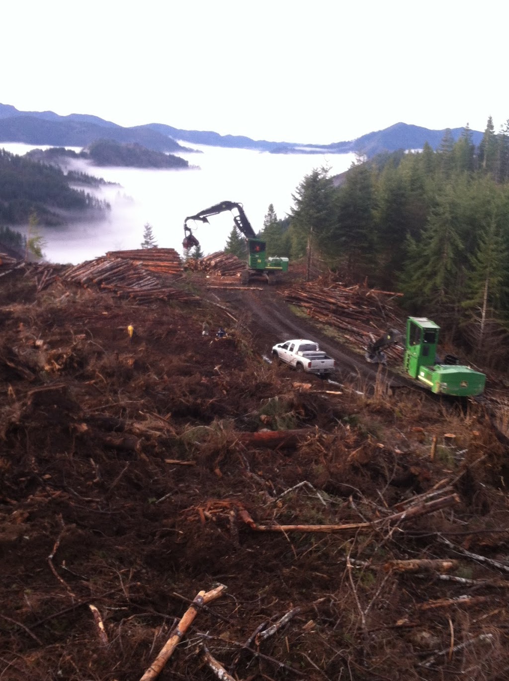 Pacific Forest Contractors, Inc | 30924 SE Wildcat Mountain Dr, Eagle Creek, OR 97022, USA | Phone: (503) 630-6672