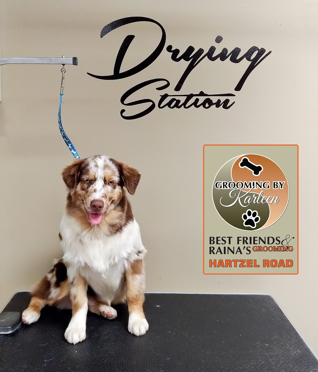 Best Friends & Rainas Grooming - By Karleen | 103 Pine St S, Thorold, ON L2V 3M2, Canada | Phone: (905) 682-7387